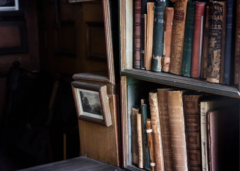 Ahead of Its Time and Ignored for It: How Certain Novels Only Make Sense After the World Changes