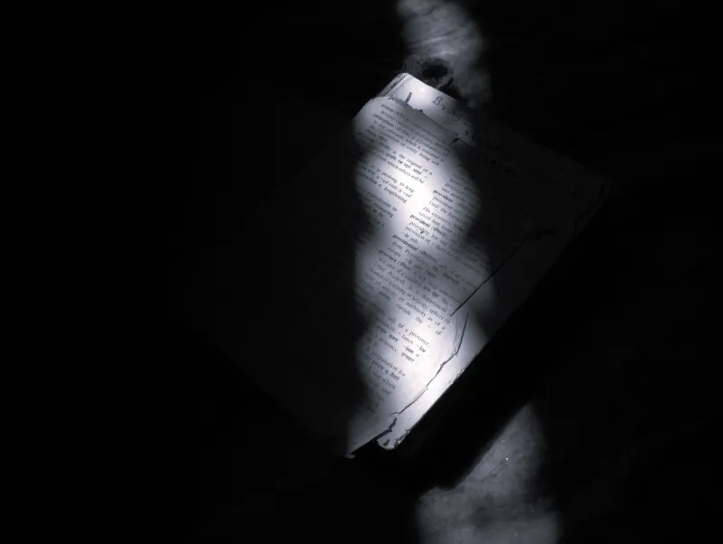 Earned or Cheap? How to Tell When a Plot Twist Actually Deserves Your Applause
