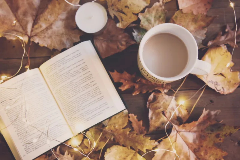 The Ending Isn't the Point — And the Best Books Know It