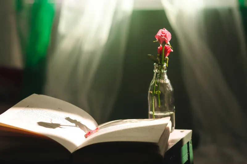 You're Always the Hidden Author: How Your Life Rewrites Every Book You Read